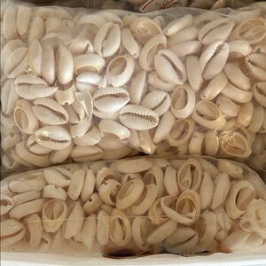 Natural Cowrie Shells 1 pound